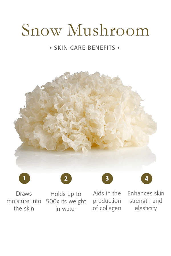 a powerful choice for plant-based hydration and skincare.